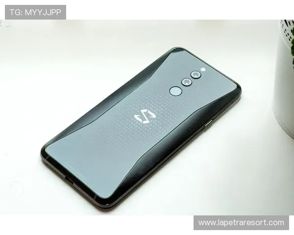 MG老虎2.0说明书详细解读与操作指南,帮助玩家快速掌握游戏核心玩法