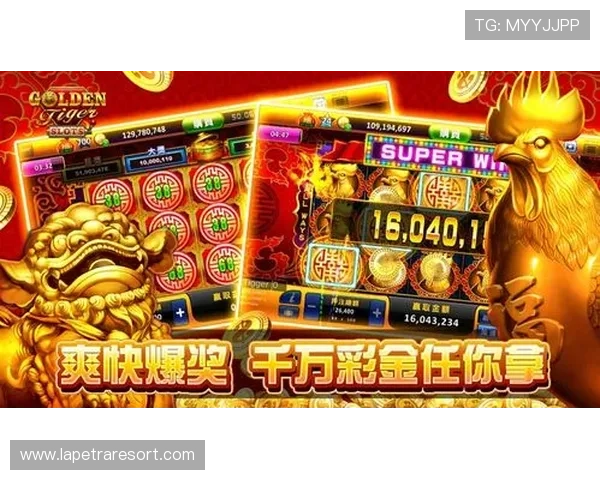 如何根据预算合理选择老虎机设备避免盲目跟风提升游戏体验 如何根据预算合理选择老虎机设备避免盲目跟风提升游戏体验