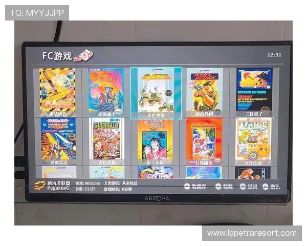 FC电子模拟器最新版本下载与安装指南，快速上手体验复古游戏魅力